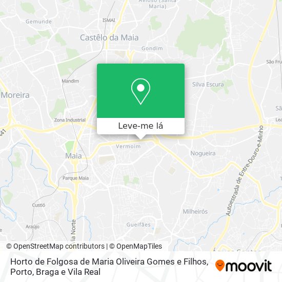 Horto de Folgosa de Maria Oliveira Gomes e Filhos mapa