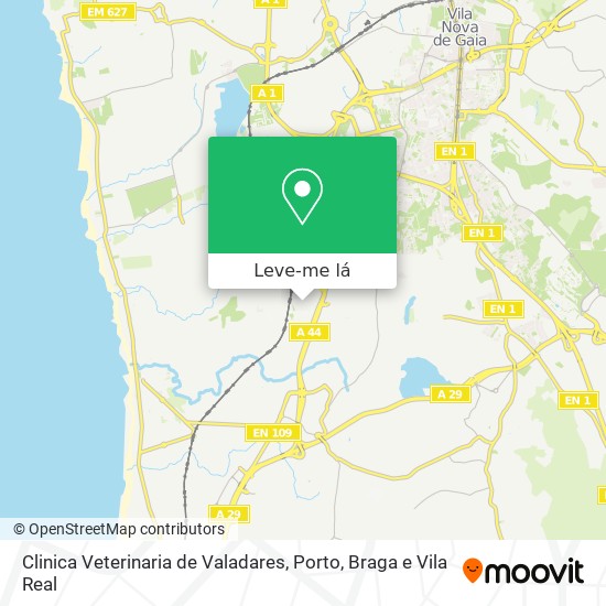 Clinica Veterinaria de Valadares mapa