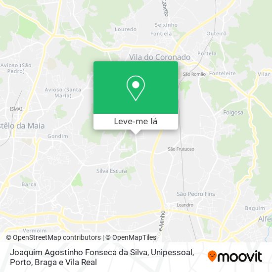 Joaquim Agostinho Fonseca da Silva, Unipessoal mapa