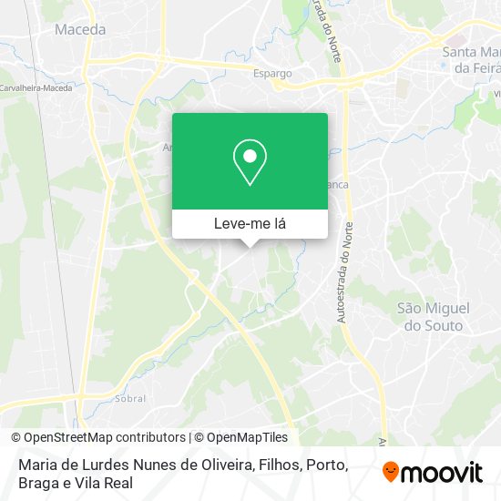 Maria de Lurdes Nunes de Oliveira, Filhos mapa