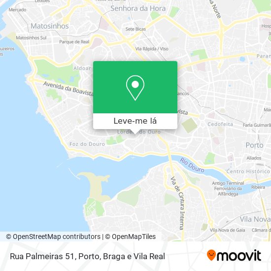 Rua Palmeiras 51 mapa