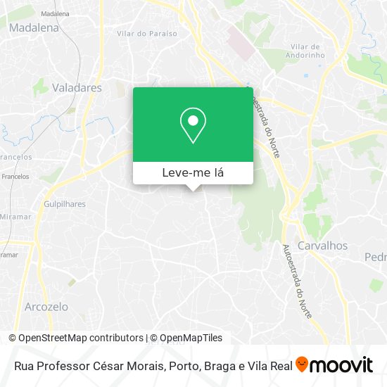 Rua Professor César Morais mapa