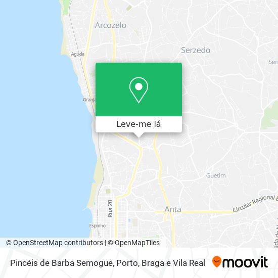 Pincéis de Barba Semogue mapa