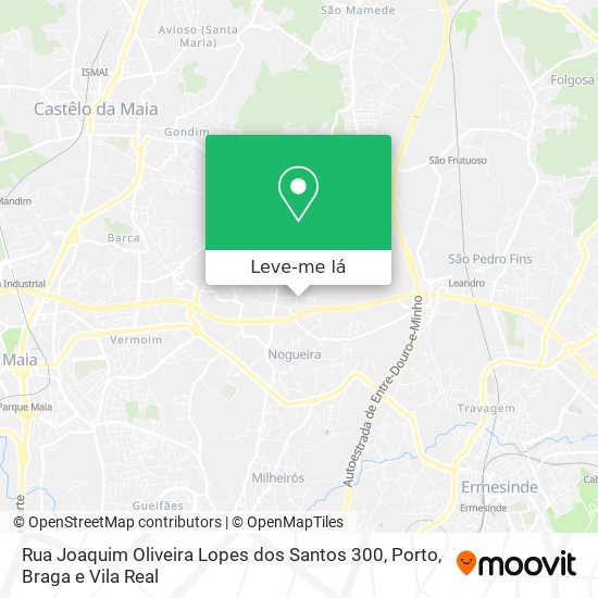 Rua Joaquim Oliveira Lopes dos Santos 300 mapa