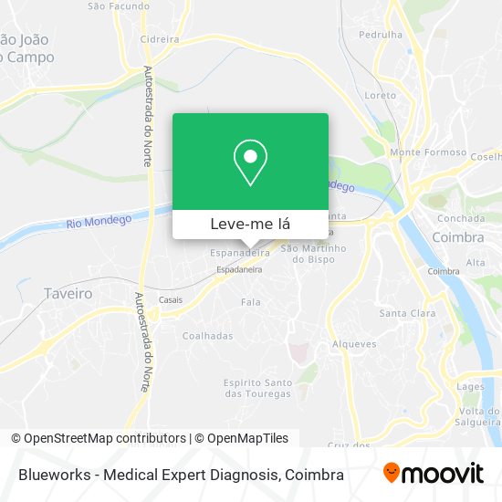 Blueworks - Medical Expert Diagnosis mapa