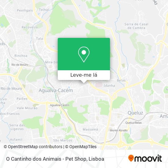 O Cantinho dos Animais - Pet Shop mapa