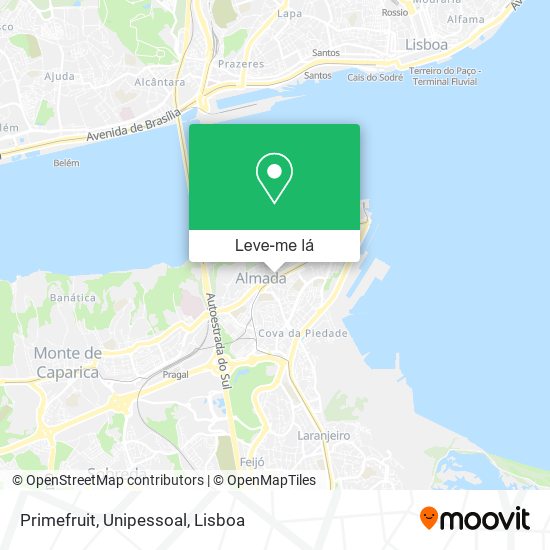 Primefruit, Unipessoal mapa