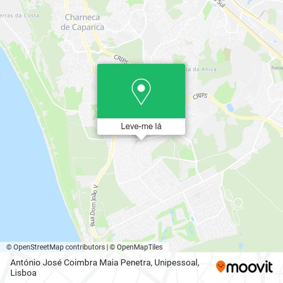 António José Coimbra Maia Penetra, Unipessoal mapa