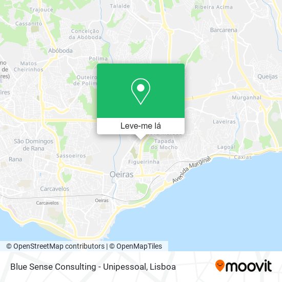 Blue Sense Consulting - Unipessoal mapa