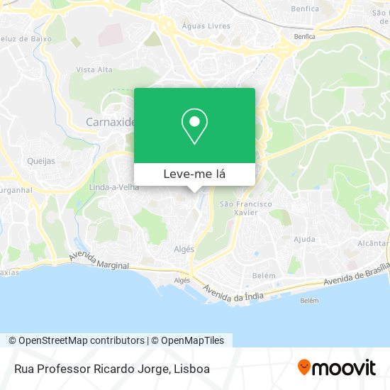 Rua Professor Ricardo Jorge mapa