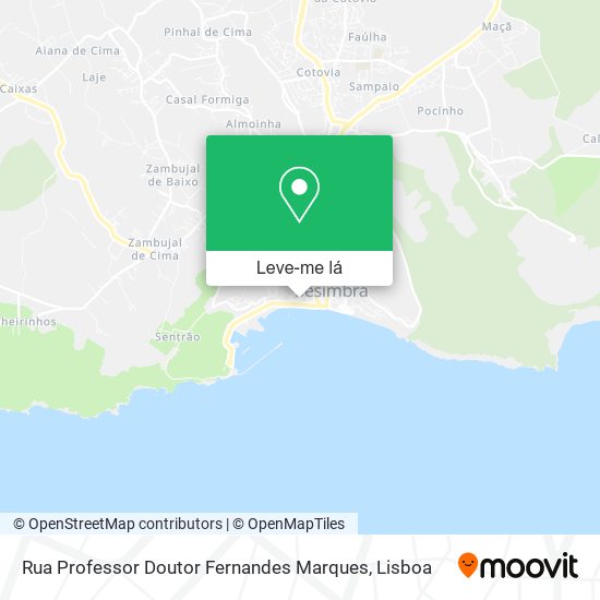 Rua Professor Doutor Fernandes Marques mapa