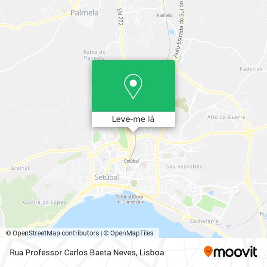 Rua Professor Carlos Baeta Neves mapa