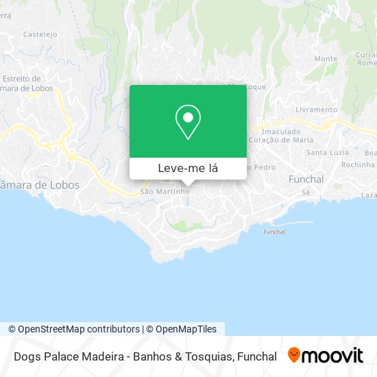 Dogs Palace Madeira - Banhos & Tosquias mapa