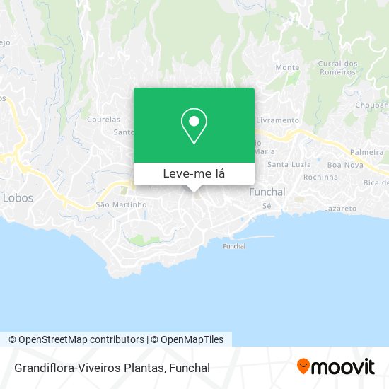 Grandiflora-Viveiros Plantas mapa