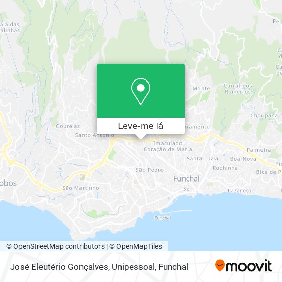 José Eleutério Gonçalves, Unipessoal mapa