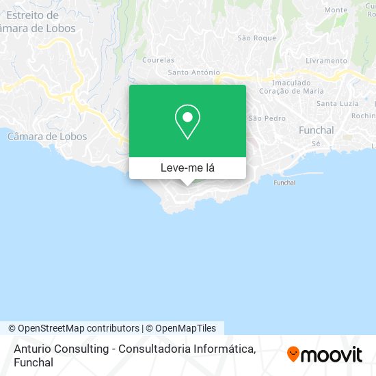 Anturio Consulting - Consultadoria Informática mapa