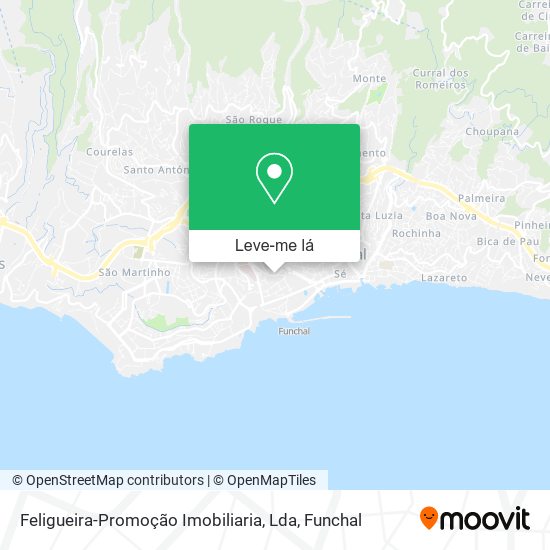 Feligueira-Promoção Imobiliaria, Lda mapa