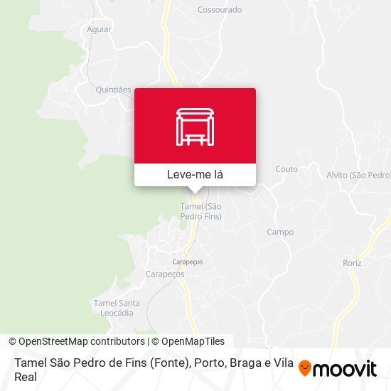 Tamel São Pedro de Fins (Fonte) mapa