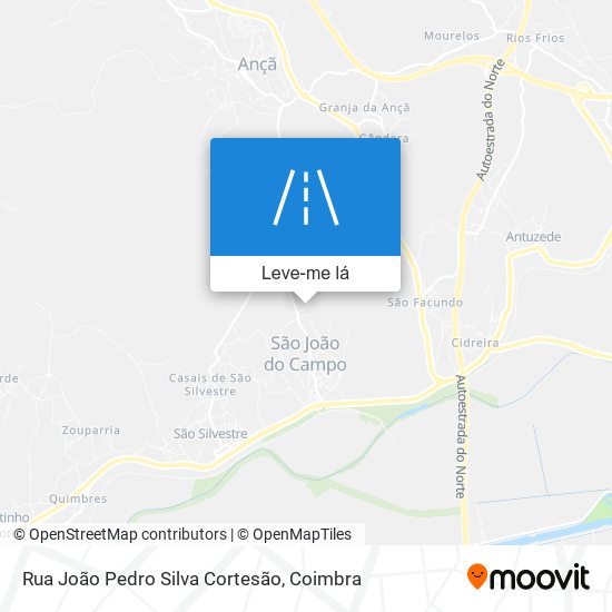 Rua João Pedro Silva Cortesão mapa