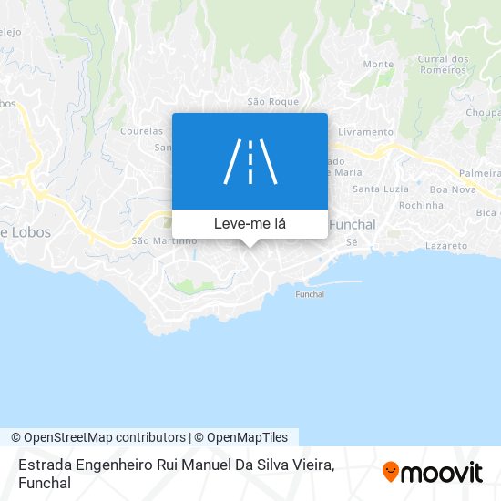 Estrada Engenheiro Rui Manuel Da Silva Vieira mapa