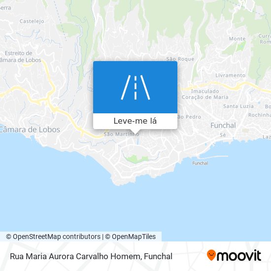 Rua Maria Aurora Carvalho Homem mapa
