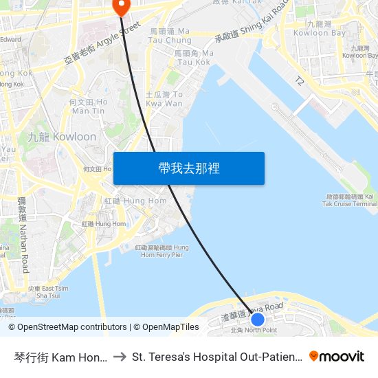 琴行街 Kam Hong Street to St. Teresa's Hospital Out-Patient Department map