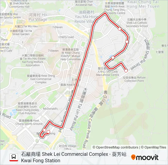 31P Bus Line Map