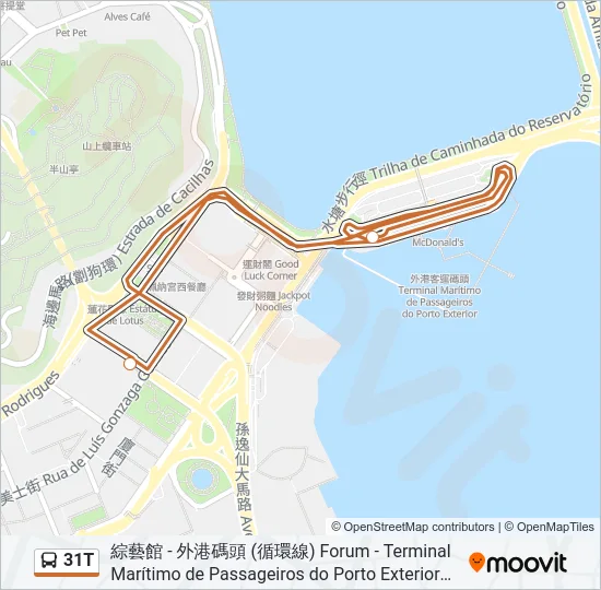 31T Bus Line Map