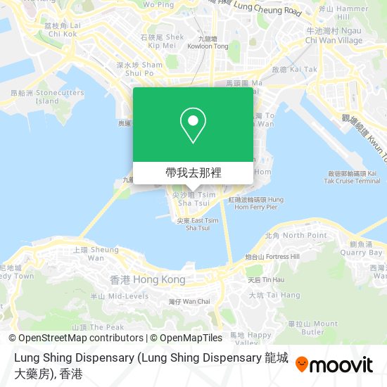 Lung Shing Dispensary地圖