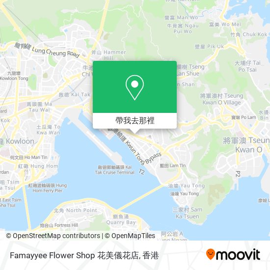 Famayyee Flower Shop 花美儀花店地圖