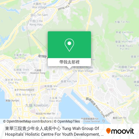 東華三院青少年全人成長中心 Tung Wah Group Of Hospitals’ Holistic Centre For Youth Development地圖