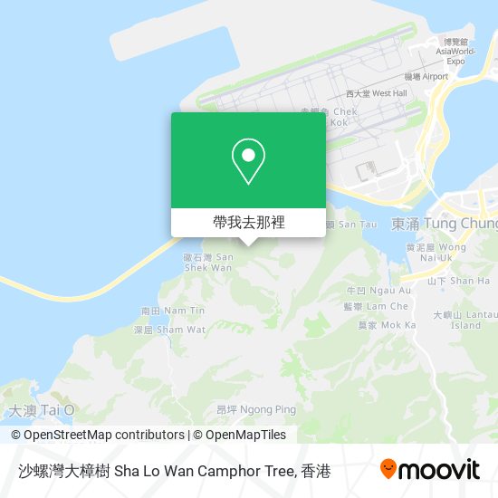 沙螺灣大樟樹 Sha Lo Wan Camphor Tree地圖