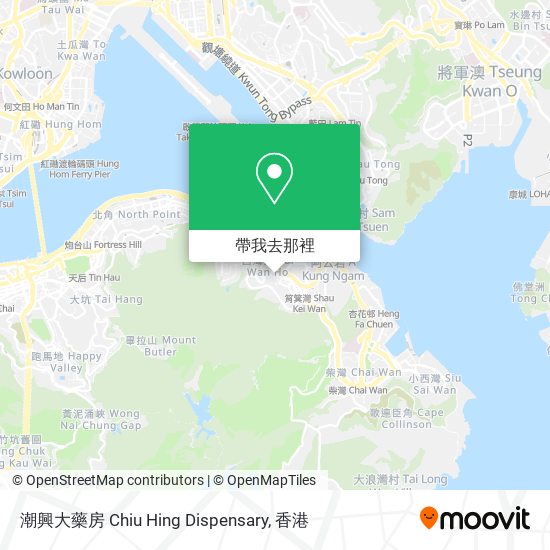 潮興大藥房 Chiu Hing Dispensary地圖
