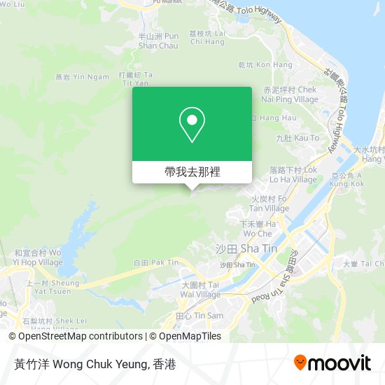 黃竹洋 Wong Chuk Yeung地圖