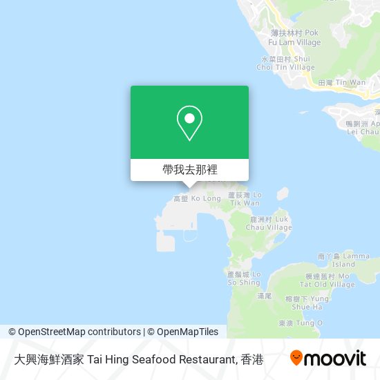 大興海鮮酒家 Tai Hing Seafood Restaurant地圖