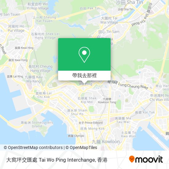 大窩坪交匯處 Tai Wo Ping Interchange地圖