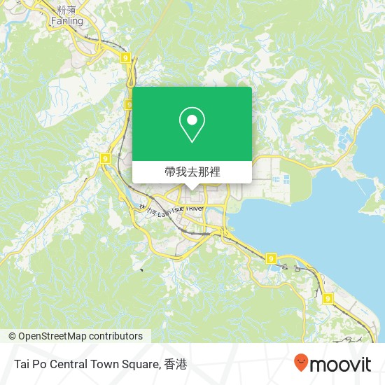 Tai Po Central Town Square地圖