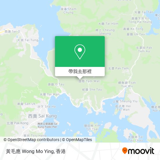 黃毛應 Wong Mo Ying地圖