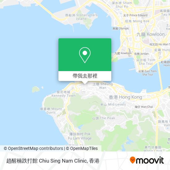 趙醒楠跌打館 Chiu Sing Nam Clinic地圖