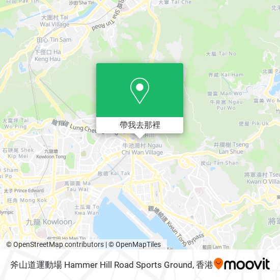 斧山道運動場 Hammer Hill Road Sports Ground地圖