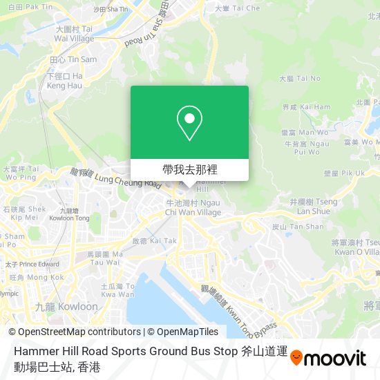 Hammer Hill Road Sports Ground Bus Stop 斧山道運動場巴士站地圖