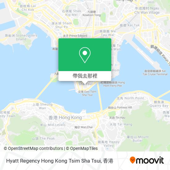 Hyatt Regency Hong Kong Tsim Sha Tsui地圖