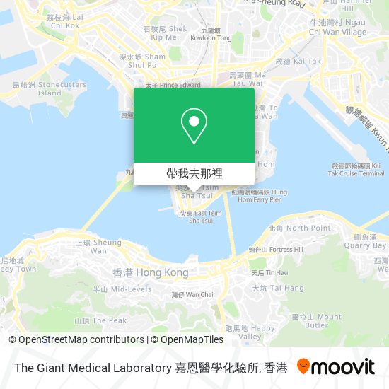 The Giant Medical Laboratory 嘉恩醫學化驗所地圖