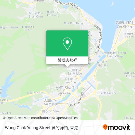 Wong Chuk Yeung Street 黃竹洋街地圖