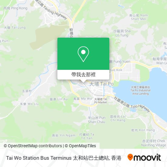 Tai Wo Station Bus Terminus 太和站巴士總站地圖
