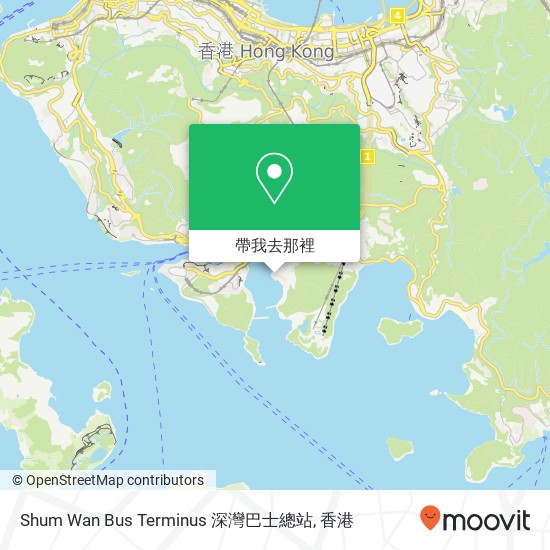 Shum Wan Bus Terminus 深灣巴士總站地圖