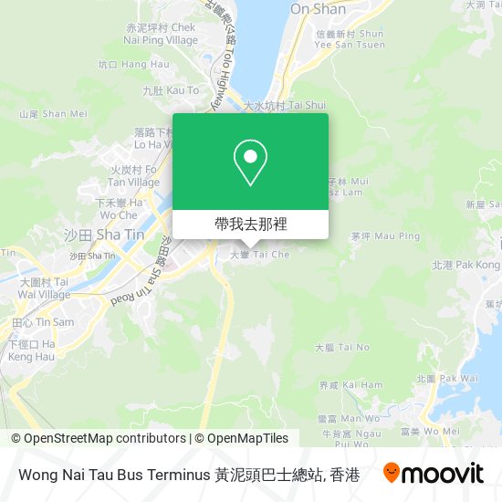 Wong Nai Tau Bus Terminus 黃泥頭巴士總站地圖