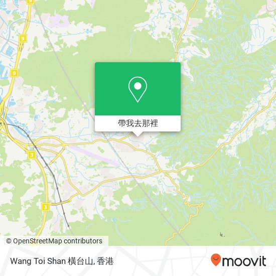 Wang Toi Shan 橫台山地圖