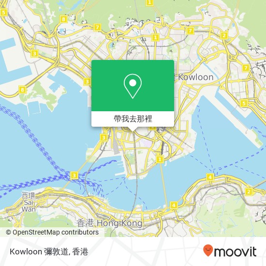 Kowloon 彌敦道地圖