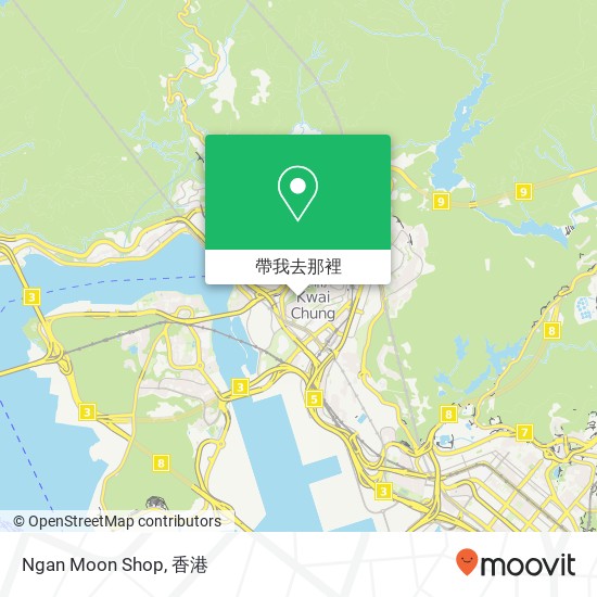 Ngan Moon Shop, Shing Fong St 13地圖